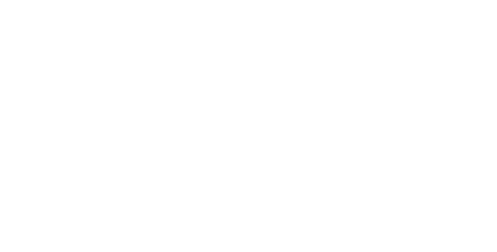 AIG, Aesthetics Integrity Group